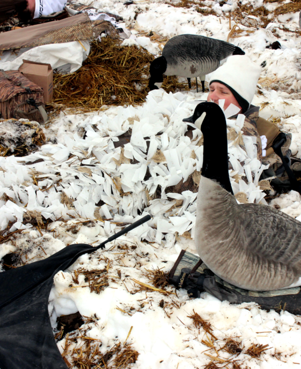 Beavertail Man Laying in Snow Cover Concealment Blanket for Snow Goose Hunting