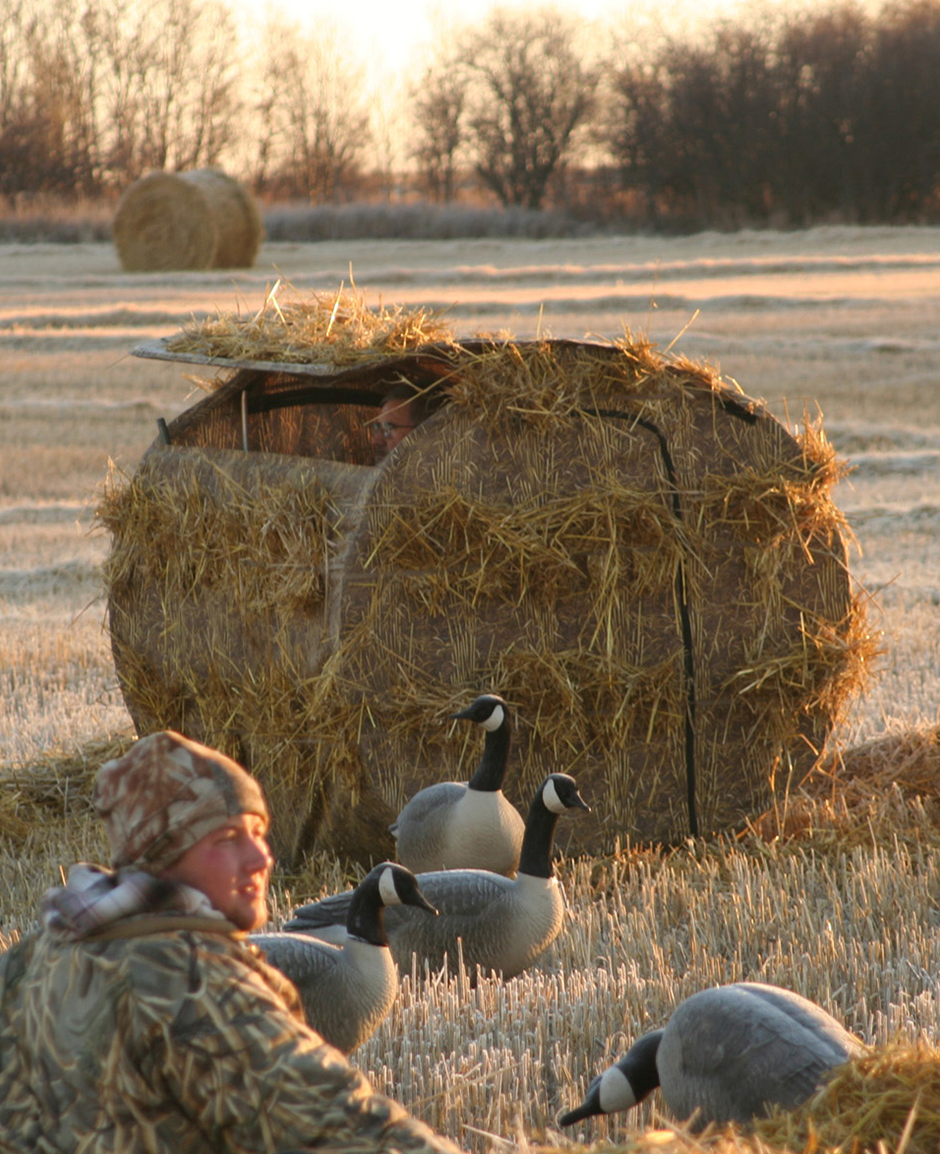 Outfitter Bale Blind Explore Beavertail