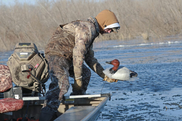 Beavertail Man in Custom Boat setting up DOA Decoys Canvasback Floaters Open Water Series Water Decoys for Waterfowl Duck Hunting