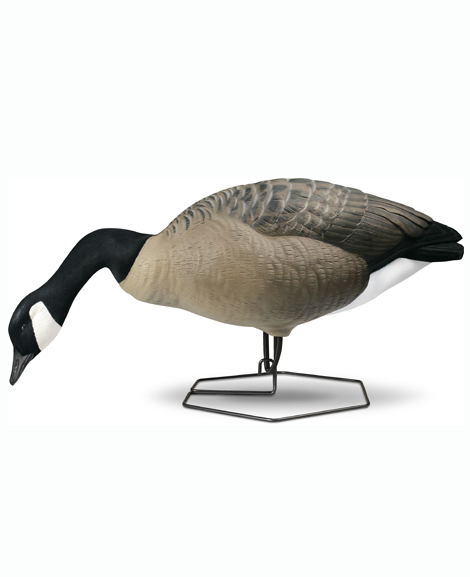 Beavertail DOA Decoys Full Body Goose Dominator Series Field Decoys for Goose Hunting