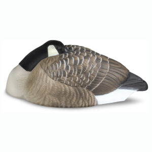 Beavertail DOA Decoys Rogue Series Goose Sleeper Shells for Goose Hunting