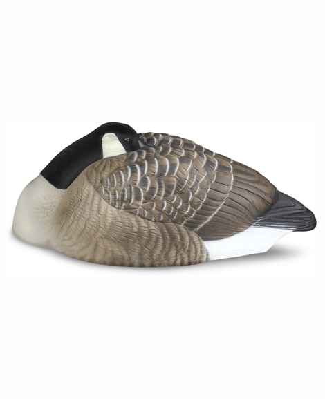 sleeper goose decoys
