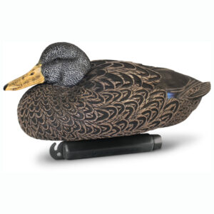 Beavertail DOA Decoys Black Duck Resting Drake Floaters Refuge Series Water Decoys for Waterfowl Duck Hunting