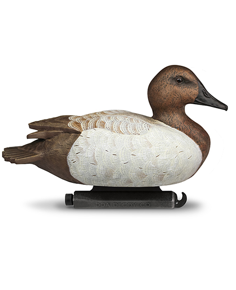 Beavertail DOA Decoys Canvasback Floaters Open Water Series Water Decoys for Waterfowl Duck Hunting for Waterfowl Duck Hunting