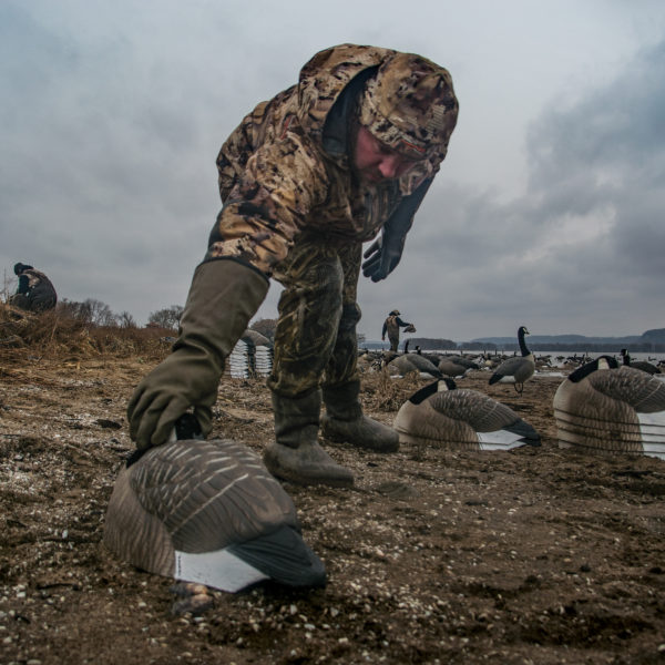 Beavertail Man Setting up DOA Decoys Rogue Series Goose Sleeper Shells Lifestyle for Goose Hunting