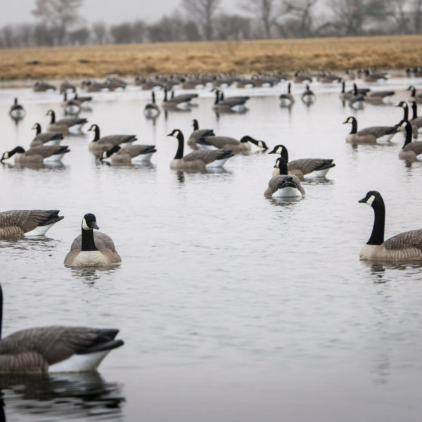 Beavertail DOA Decoys Floating Goose Decoys in Water for Goose Hunting