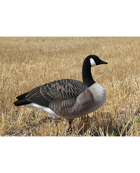 Goose Decoys For Sale >> Fullbody Ffd Canada Goose Decoys Manufacture Exclusive Goose Decoys For Sale >> Fullbody Ffd Canada Goose Decoys Manufacture Exclusive