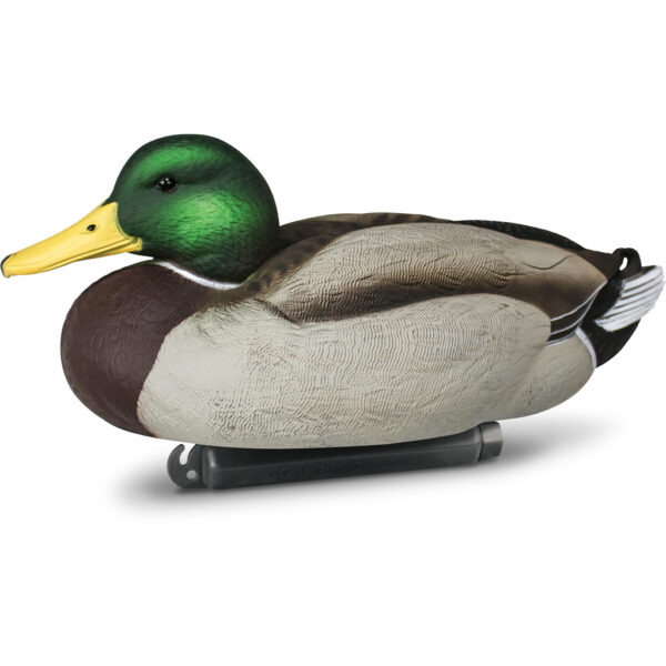 Beavertail Rester Drake Mallard Floater Water Decoys for Waterfowl Hunting