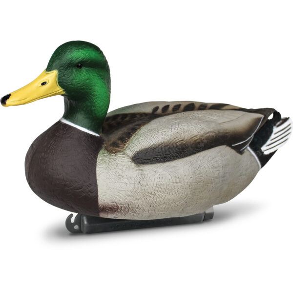 Beavertail Upright Drake Mallard Floater Water Decoys for Waterfowl Hunting