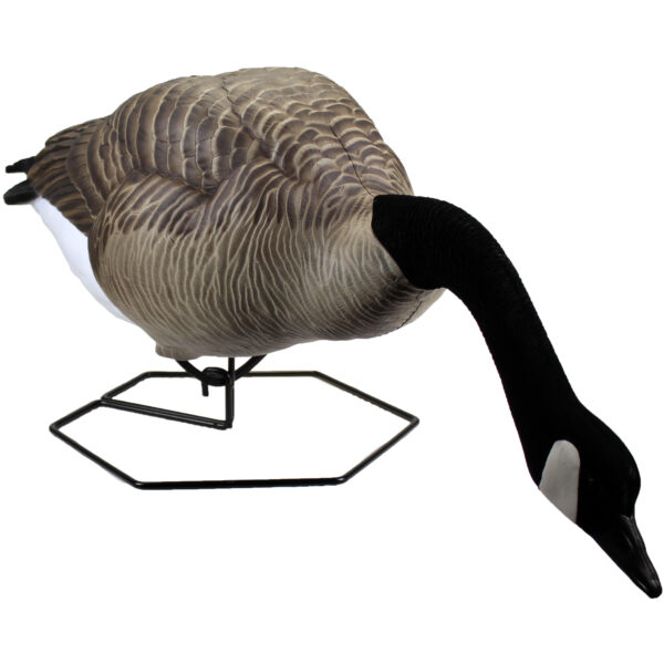 Beavertail Dominator Series Full Body Stretched Feeder Decoy