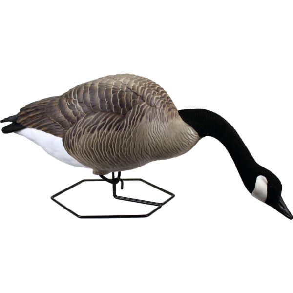 Beavertail Dominator Series Full Body Stretched Neck Feeder DOA Decoy