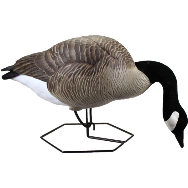 Beavertail Dominator Series Full Body Arched Feeder DOA Decoy