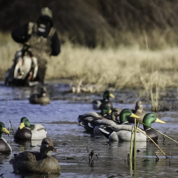 Refuge Series Mallard Floaters Pack - Image 6