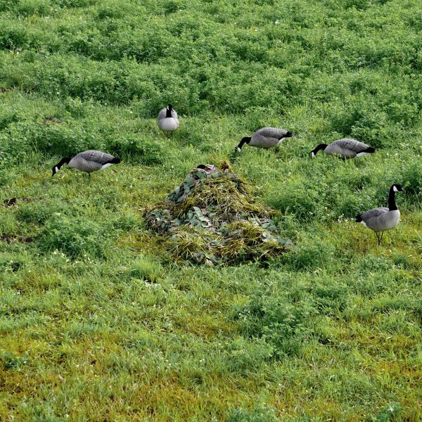 Concealment Blanket - Green Field - Image 5