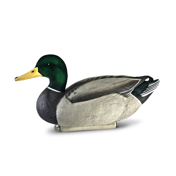 Cowboy Pack Flocked Head Mallards - Image 3