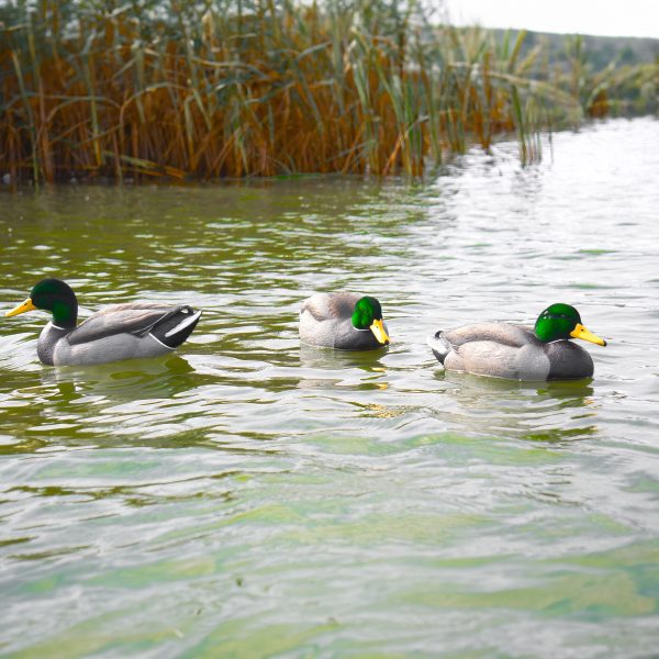 Cowboy Pack Flocked Head Mallards - Image 6