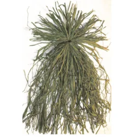 Ghillie Bundles – Natural - Explore Beavertail