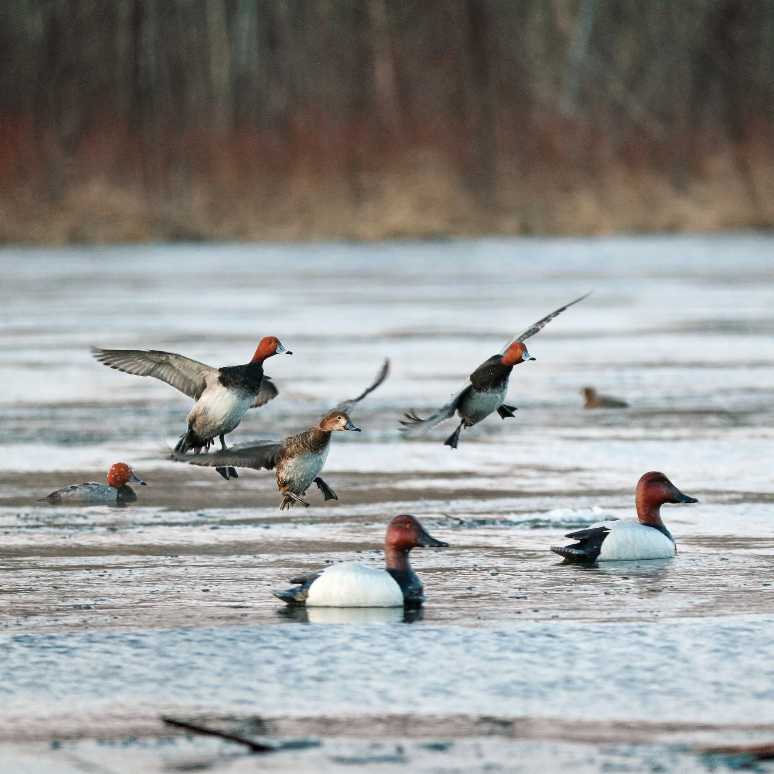 Open Water Series Canvasback Floater Pack - Image 7