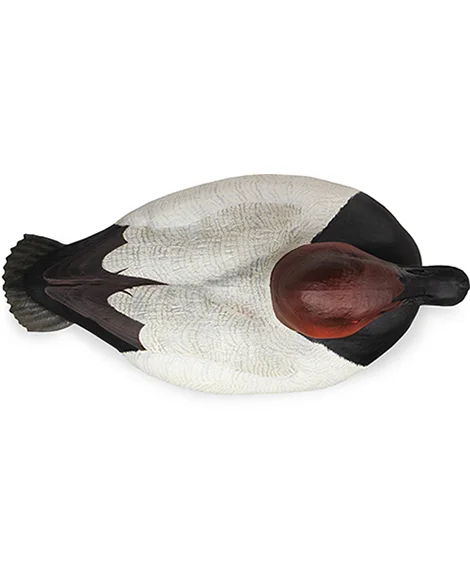 Beavertail DOA Decoys Canvasback Floaters Open Water Series Water Decoys for Waterfowl Duck Hunting