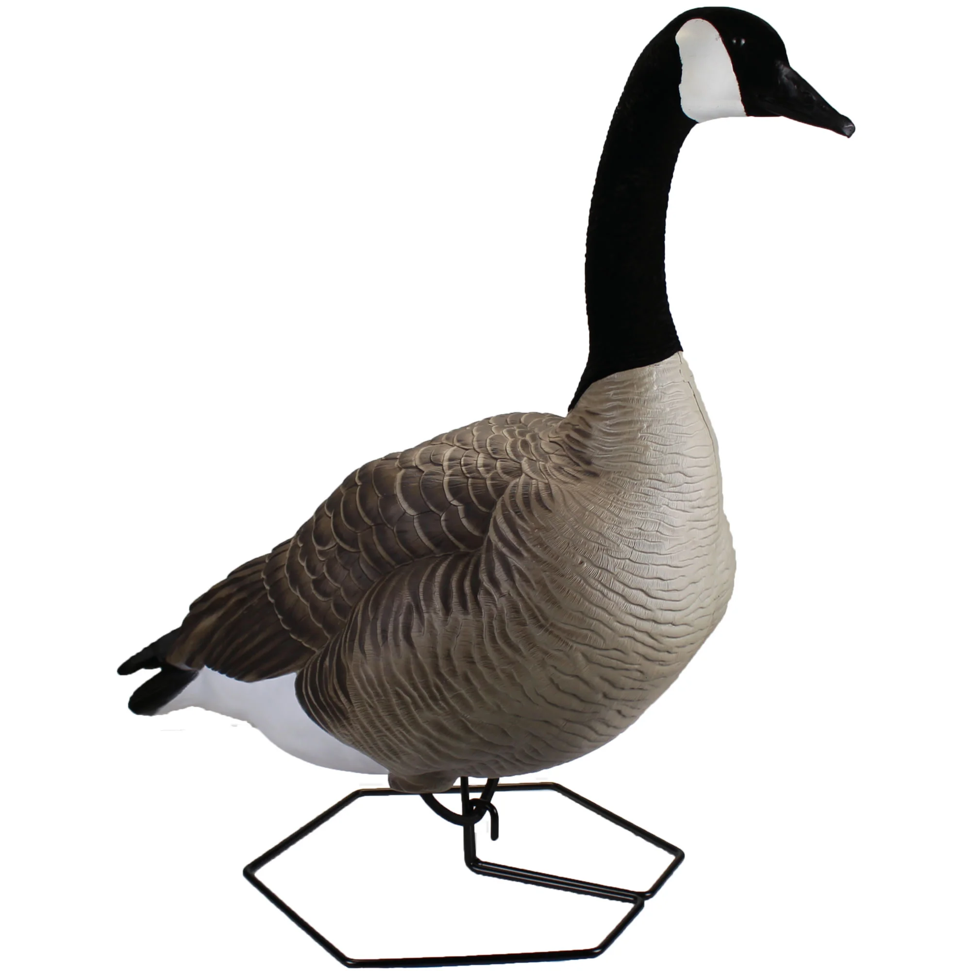 Dominator Series Full Body Decoys - Explore Beavertail