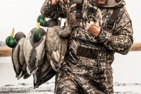 Decoys