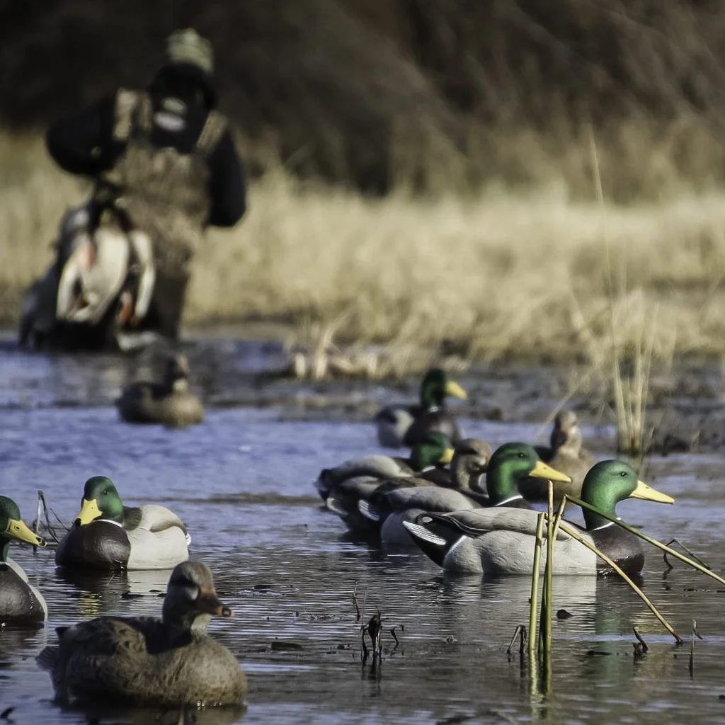 Refuge Series Mallard Floaters Pack - Image 6
