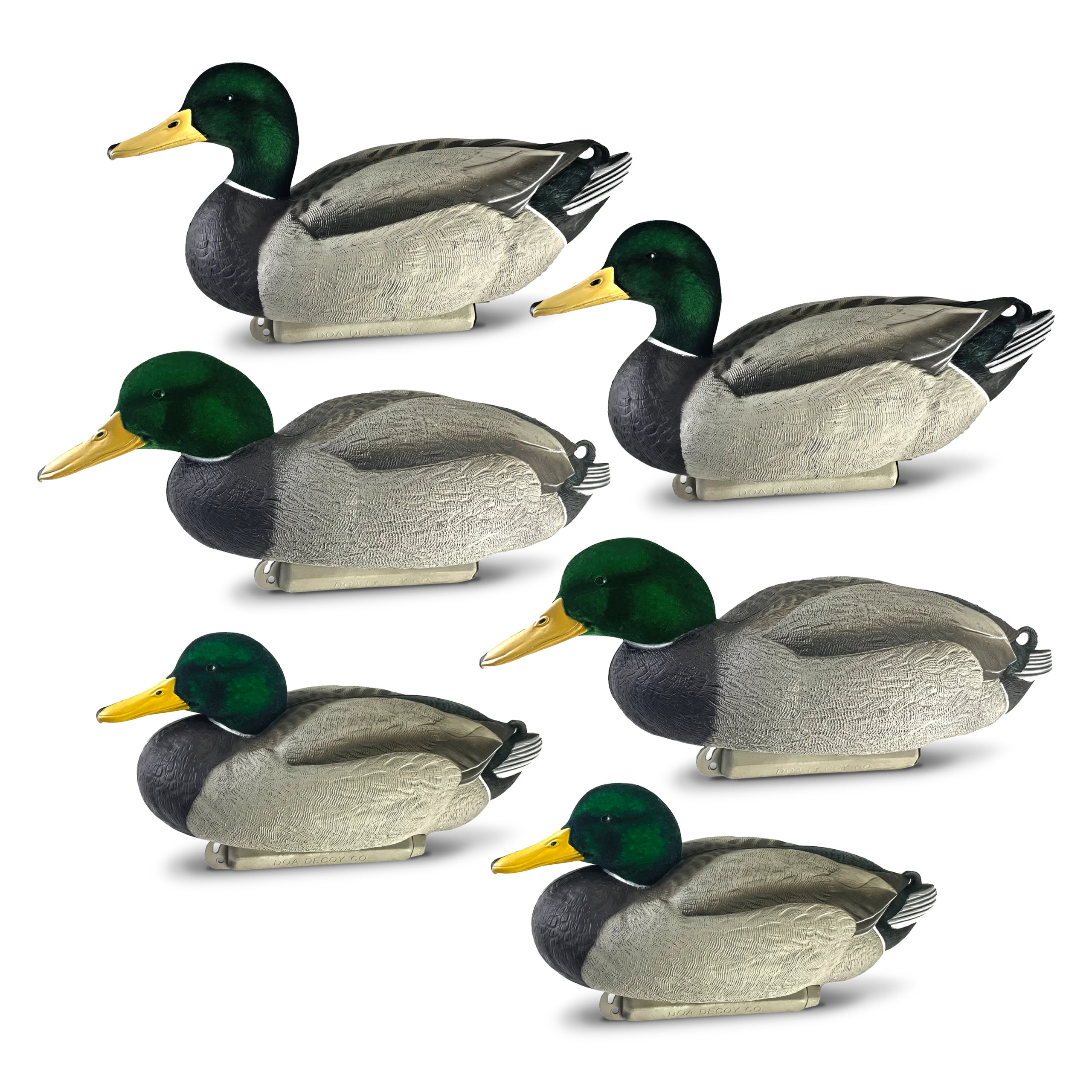 Cowboy Pack Flocked Head Mallards